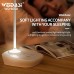 LED Rechargeable Desk Lamp, Table Reading Light with Touch Switch for Home, Office - WD-6050